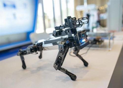 国产强操,引领科技潮流，铸就民族品牌辉煌